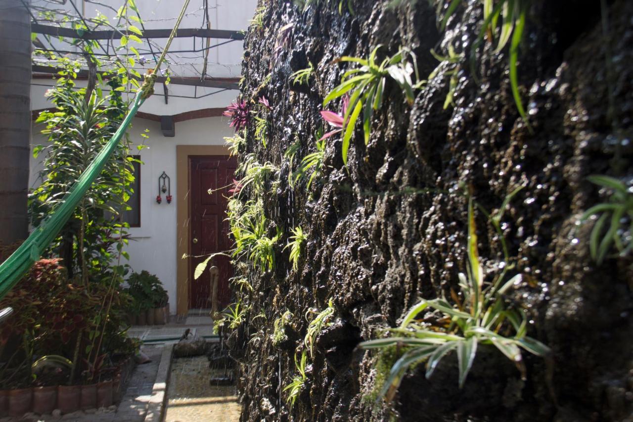 Las Mariposas Hotel & Studios Oaxaca Exterior photo